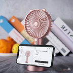 Portable Classic Hand Fan